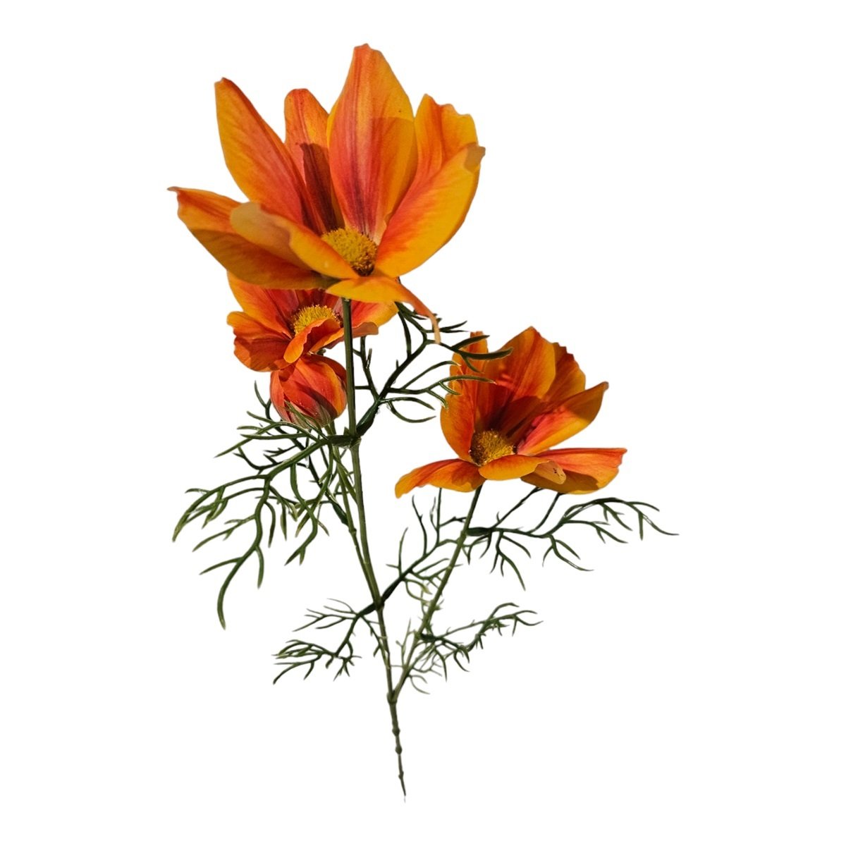 Orange cosmo