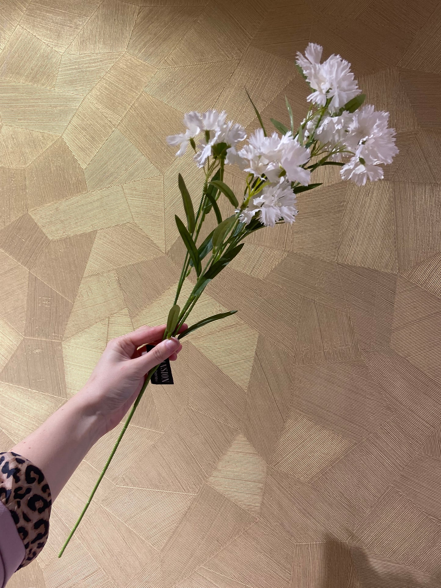 Carnation white 72 cm