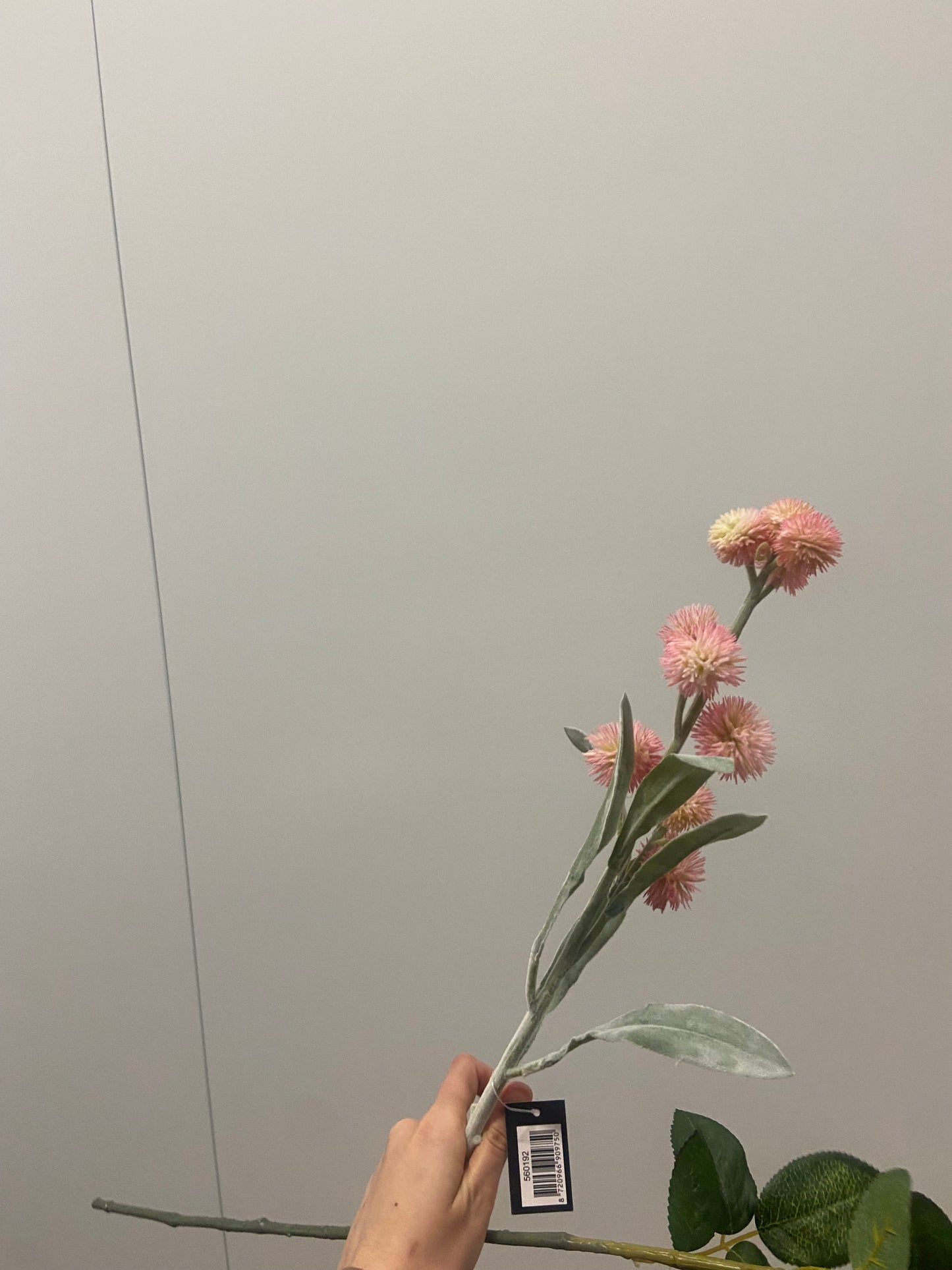 Bur Branch pink 72cm