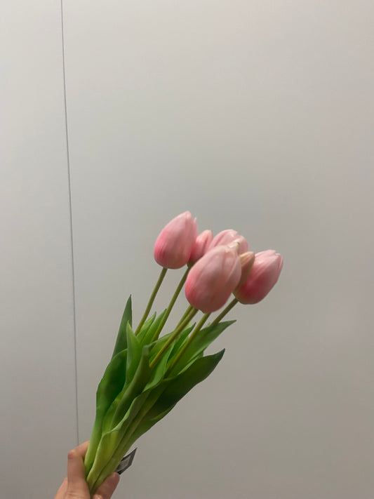 tulpen light pink 44cm per 7