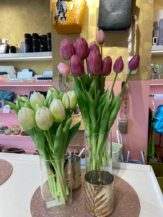 tulpen cream white 31cm bundel van 5